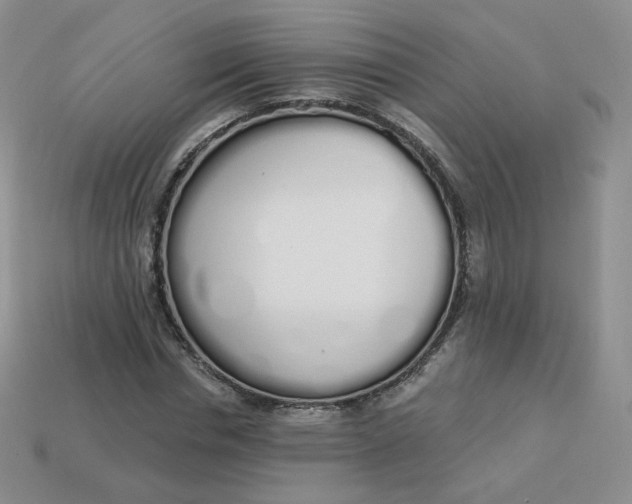 X0000114030826200910161818