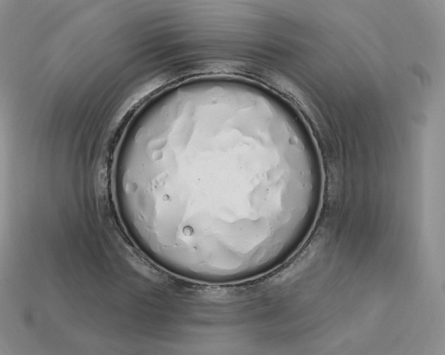 X0000114030827200910161818