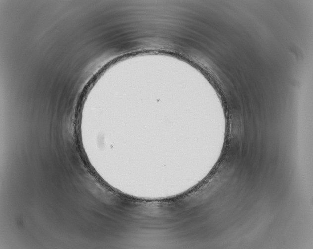 X0000114030828200910161818