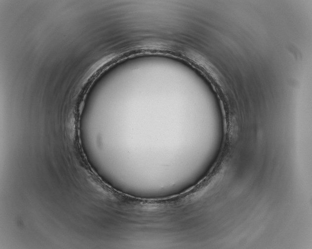 X0000114030829200910161818