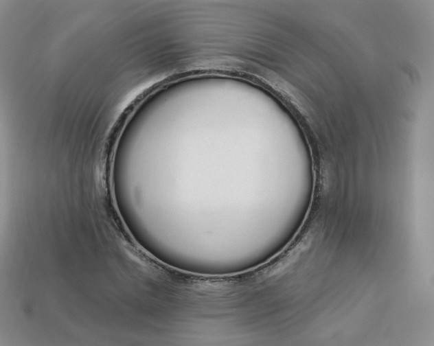 X0000114030830200910161818