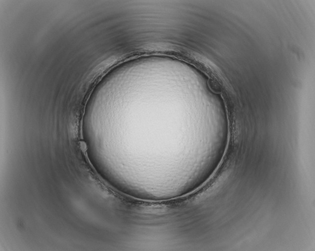 X0000114030833200910161818