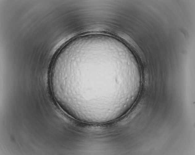 X0000114030834200910161818