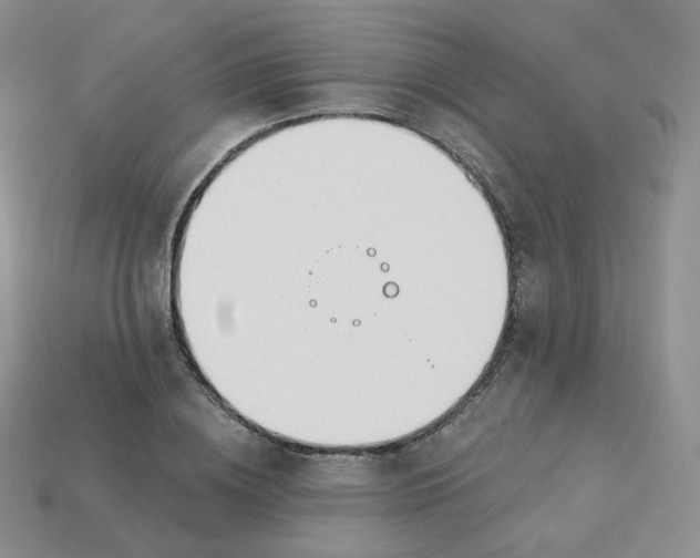 X0000114030836200910161818