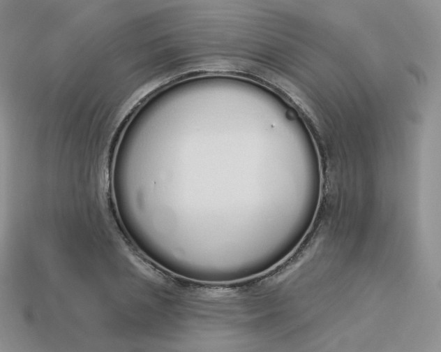 X0000114030837200910161818