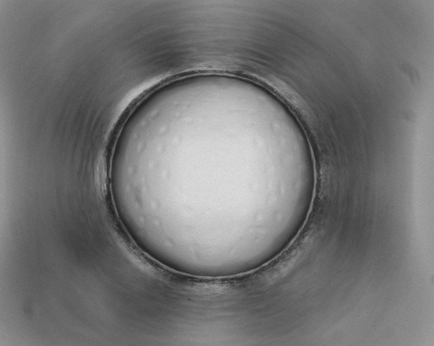 X0000114030838200910161818