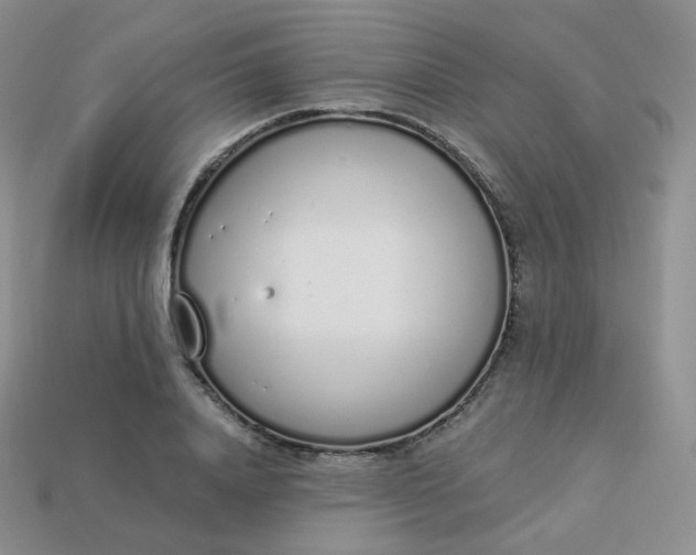 X0000114030840200910161818