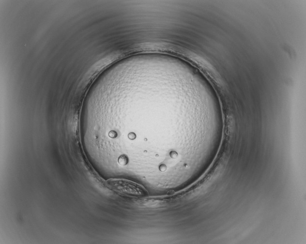 X0000114030841200910161818