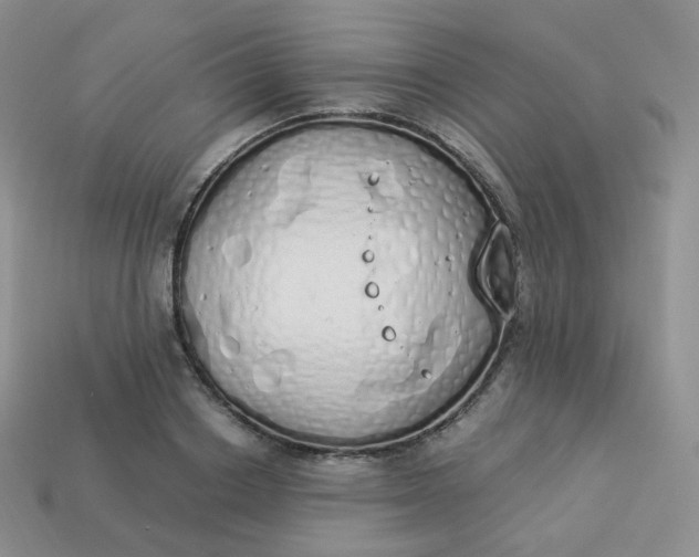 X0000114030842200910161818