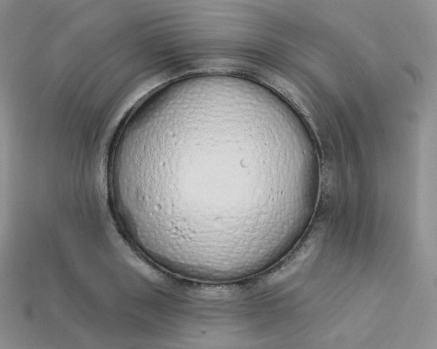 X0000114030843200910161818