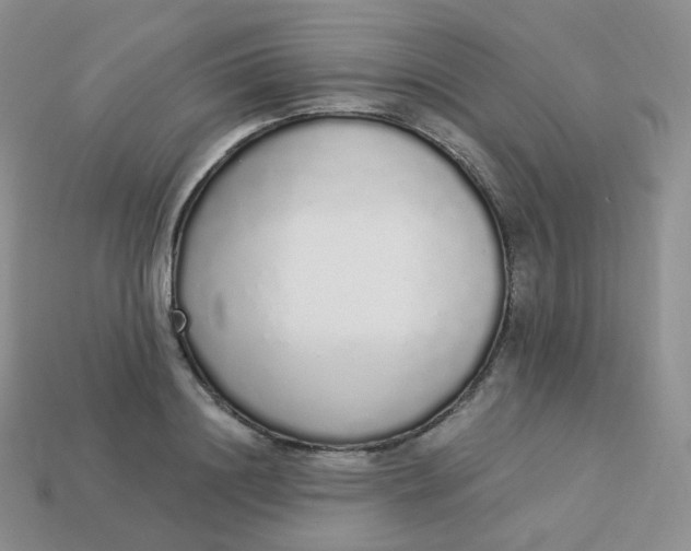 X0000114030844200910161818