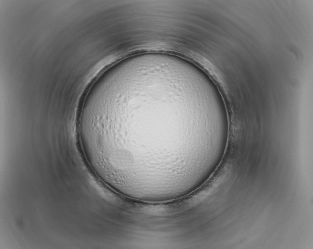 X0000114030845200910161818