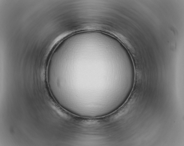 X0000114030846200910161818