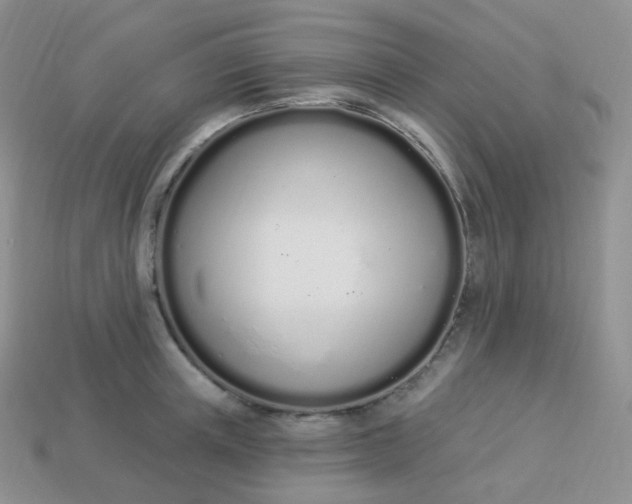 X0000114030851200910161818