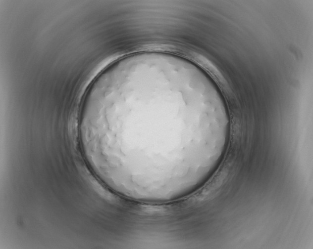 X0000114030852200910161818