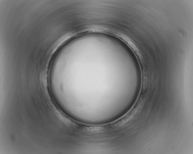 X0000114030853200910161818