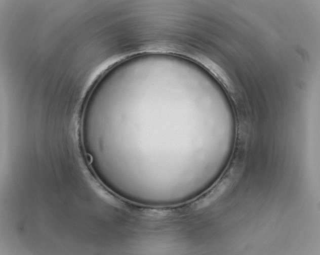 X0000114030854200910161818