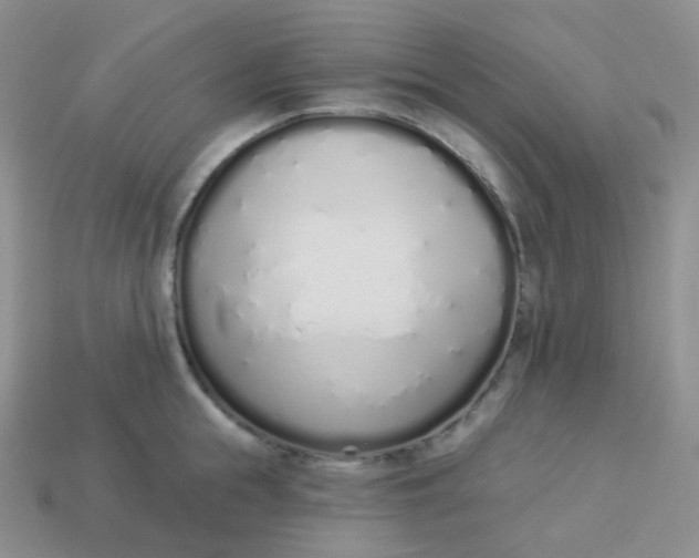 X0000114030855200910161818