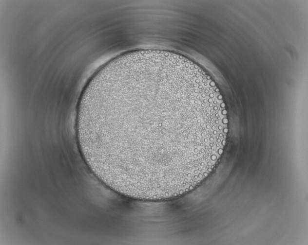 X0000114030856200910161818