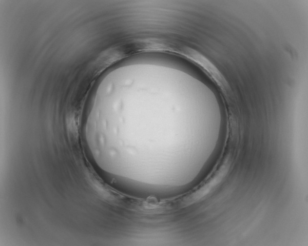 X0000114030857200910161818