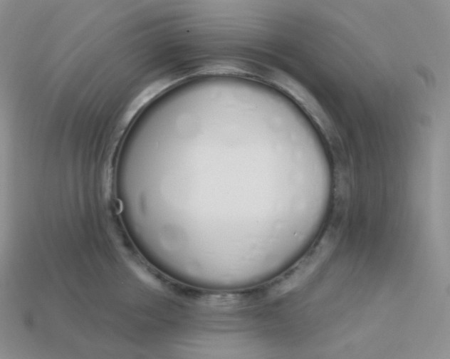 X0000114030858200910161818