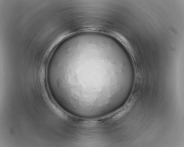 X0000114030859200910161818