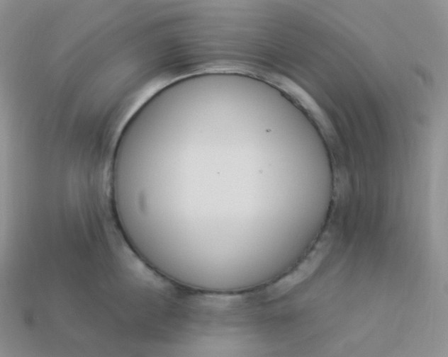 X0000114030860200910161818