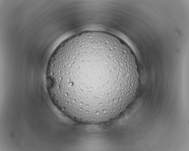 X0000114030861200910161818