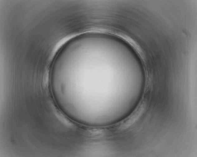 X0000114030862200910161818