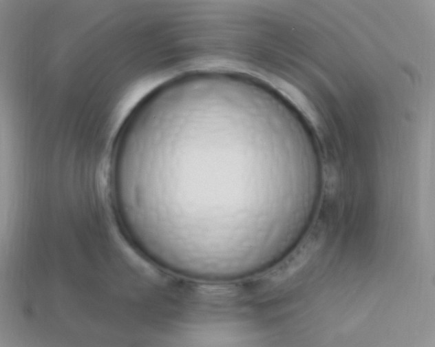 X0000114030863200910161818