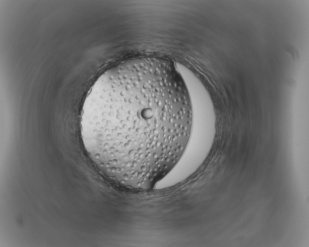 X0000114030865200910161818