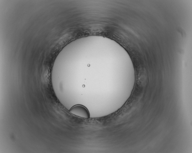 X0000114030866200910161818