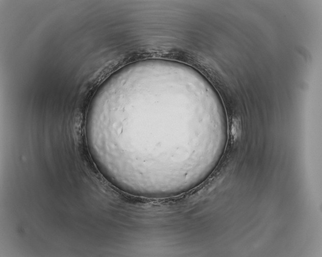 X0000114030867200910161818