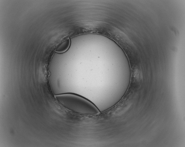 X0000114030868200910161818