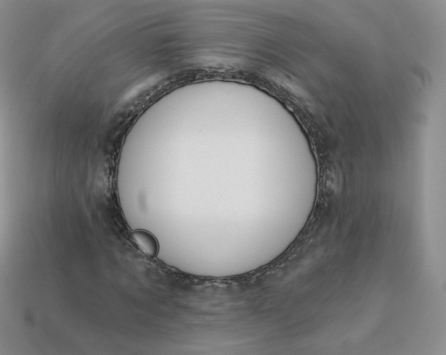 X0000114030869200910161817