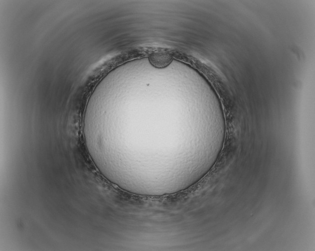 X0000114030870200910161817