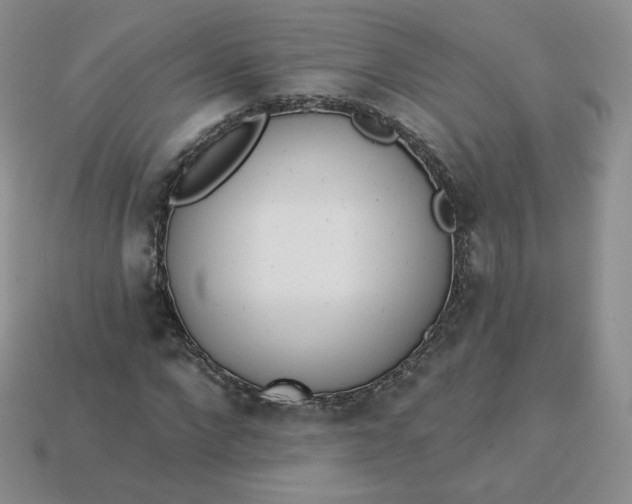 X0000114030872200910161817