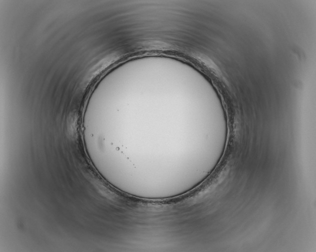 X0000114030873200910161817