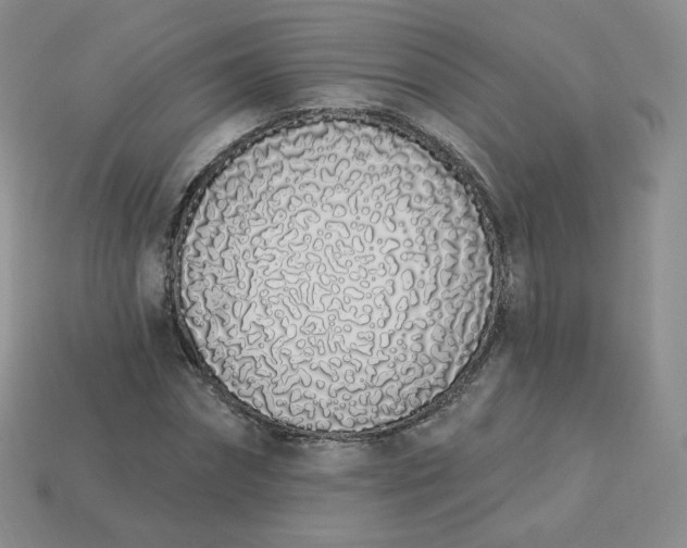 X0000114030874200910161817