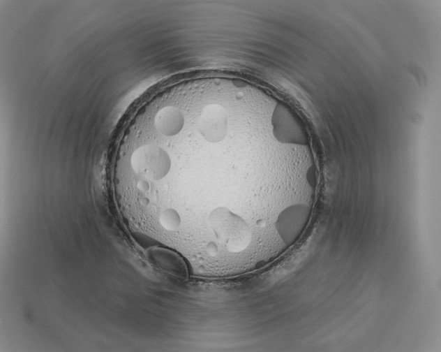 X0000114030875200910161817