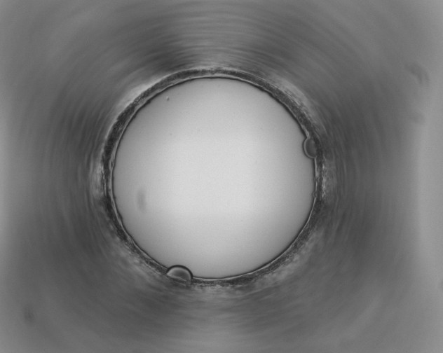 X0000114030876200910161817