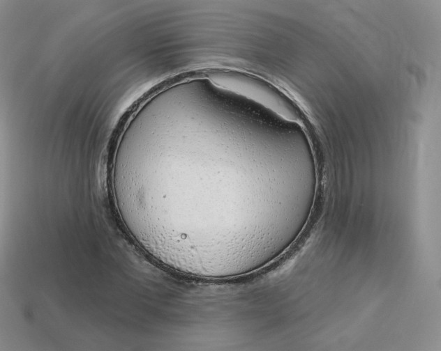 X0000114030877200910161817