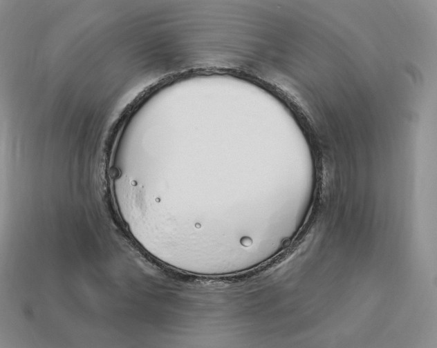 X0000114030878200910161817