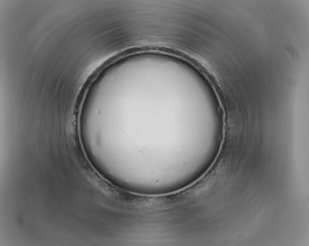 X0000114030879200910161817