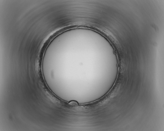 X0000114030880200910161817