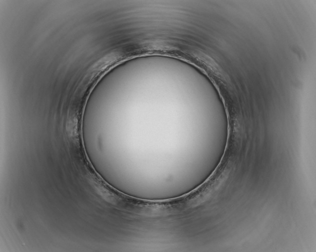 X0000114030881200910161817