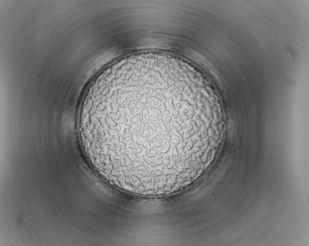 X0000114030882200910161817