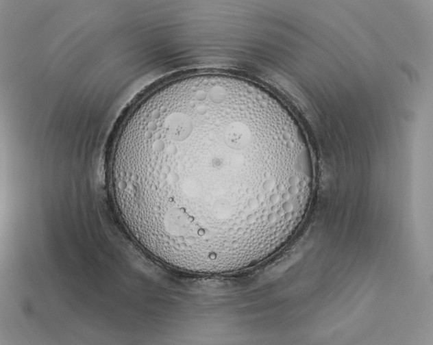 X0000114030883200910161817