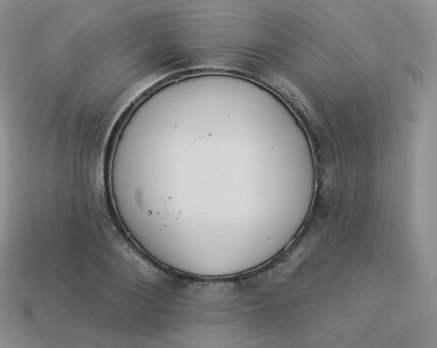 X0000114030884200910161817