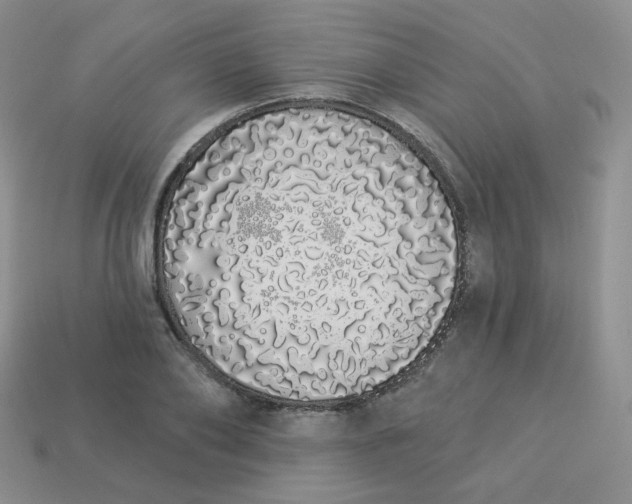 X0000114030886200910161817